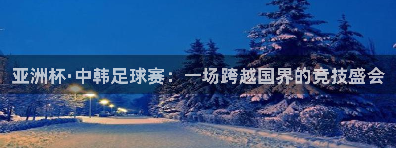 亚洲杯·中韩足球赛：一场跨越国界的竞技盛会