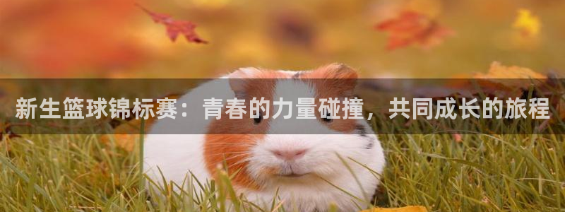 明升体育最新网址：新生篮球锦标赛：青春的力量碰撞，共同成长的